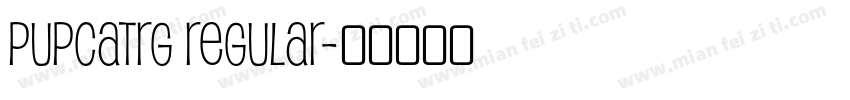 PupcatRg Regular字体转换